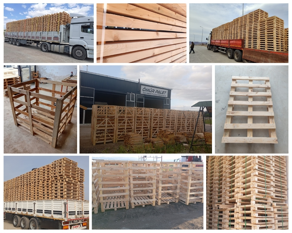 Woodnesborough Wooden Pallets, Buy Wooden Pallets Wholesale